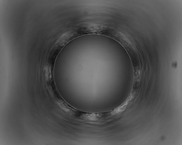 X0000100760182200806191216