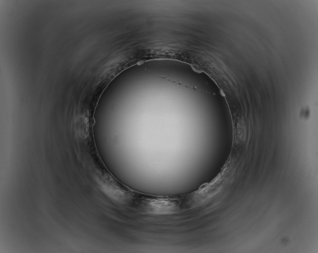 X0000100760183200806191216