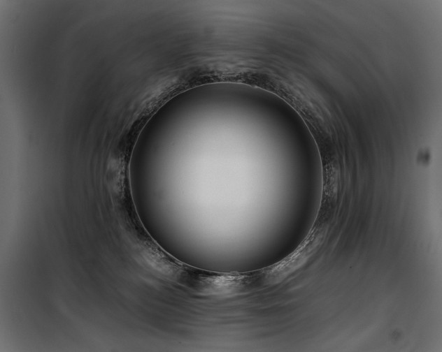 X0000100760184200806191216