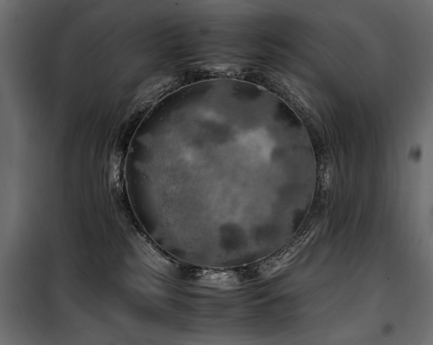 X0000100760185200806191216