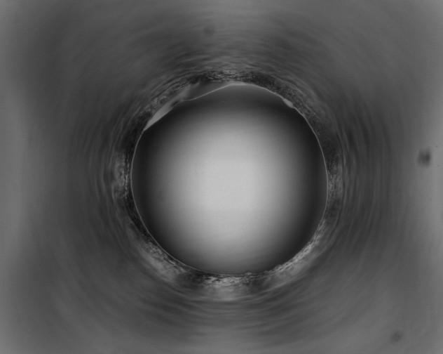 X0000100760186200806191216