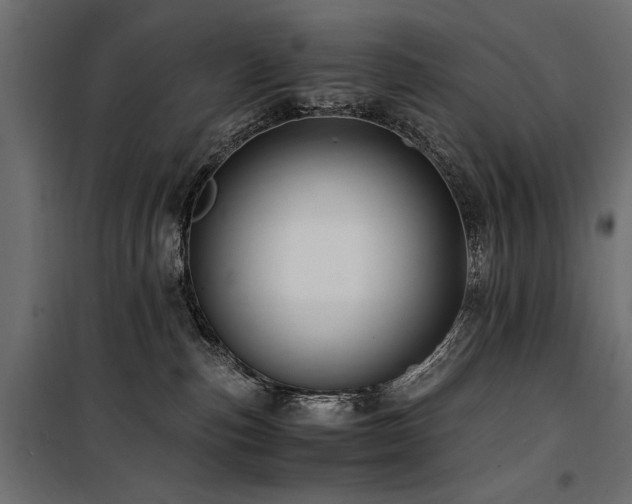 X0000100760187200806191216