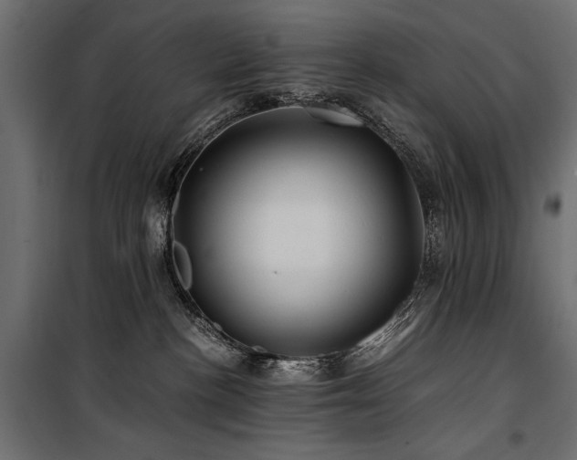 X0000100760188200806191216