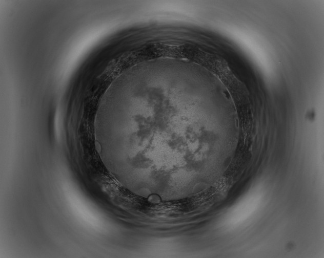 X0000100760189200806191216