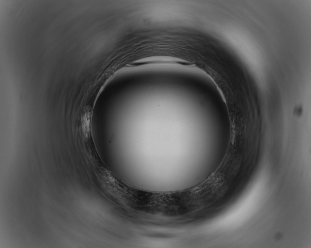 X0000100760190200806191216