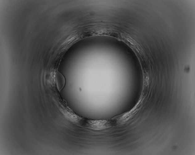 X0000100760191200806191216