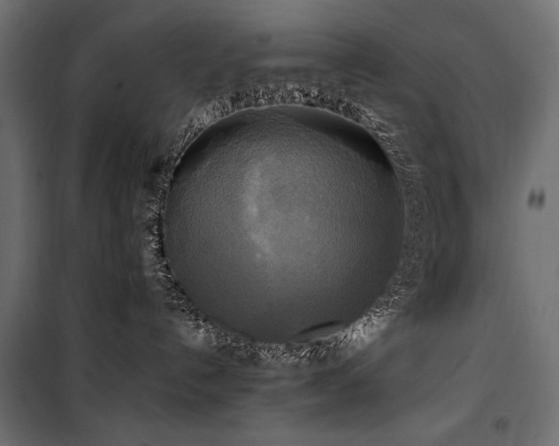 X0000100760192200806191216