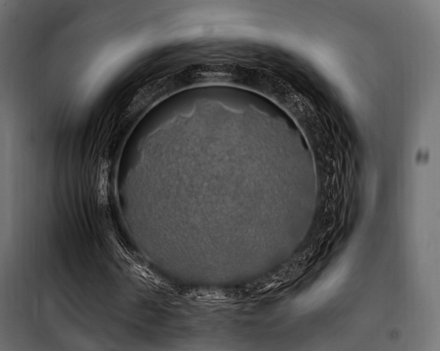 X0000100760194200806191215