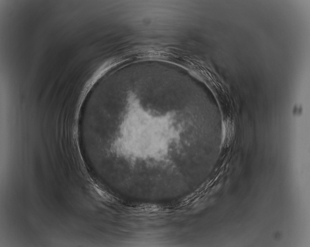 X0000100760195200806191215