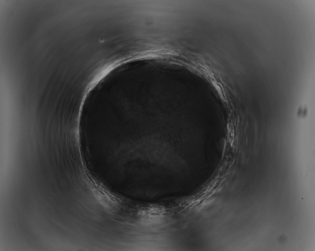 X0000100760196200806191215