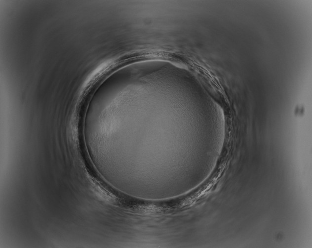 X0000100760197200806191215