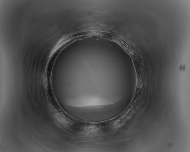 X0000100760198200806191215