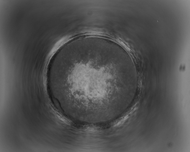 X0000100760199200806191215