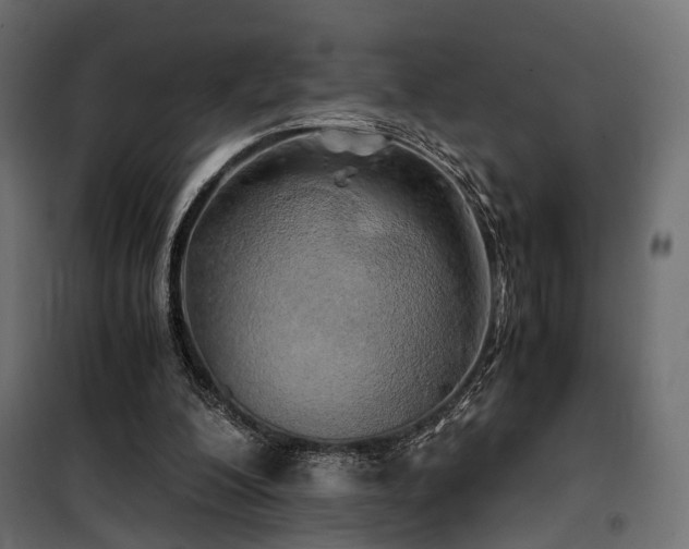 X0000100760200200806191215