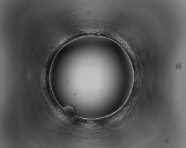 X0000100760201200806191215