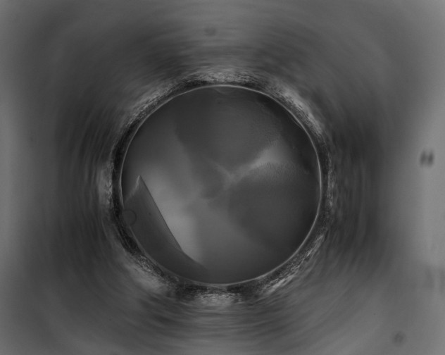 X0000100760202200806191215