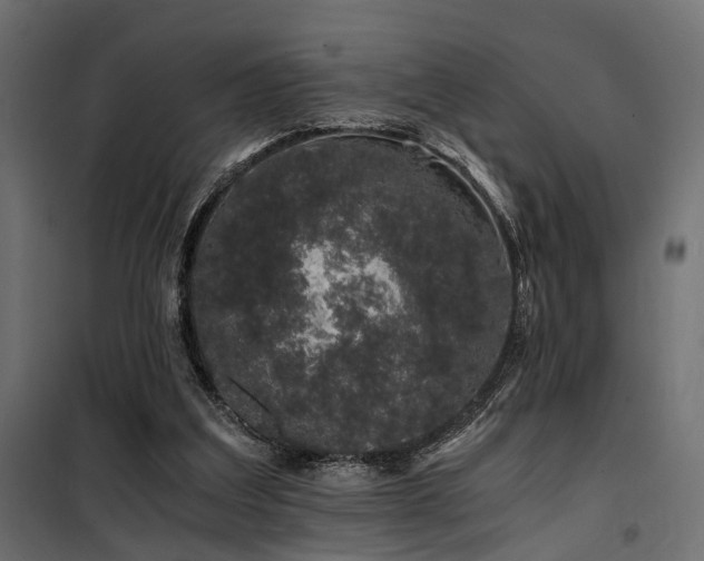 X0000100760203200806191215