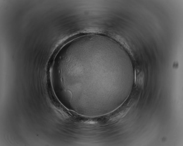 X0000100760204200806191215