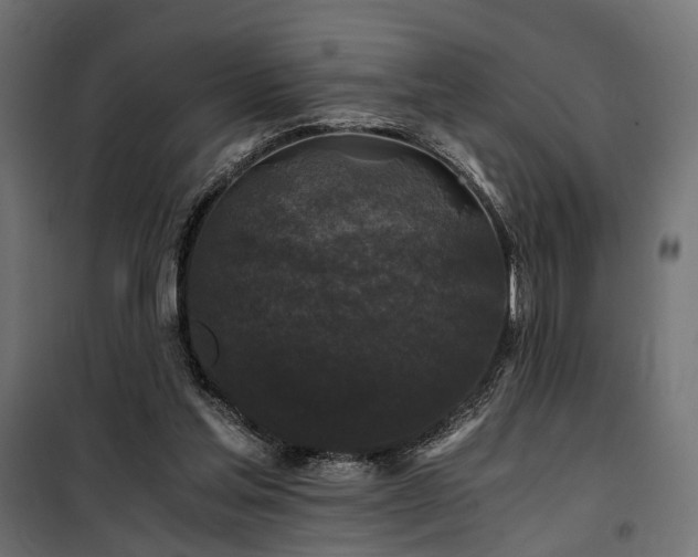 X0000100760205200806191215