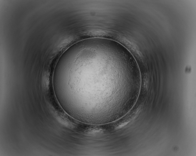 X0000100760206200806191215