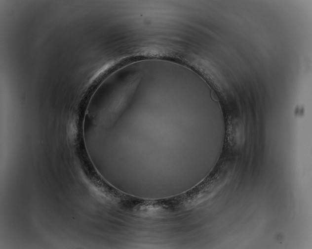 X0000100760208200806191215