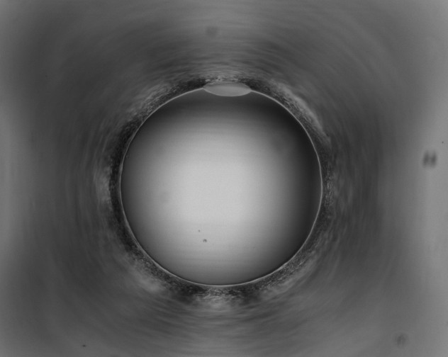 X0000100760209200806191215