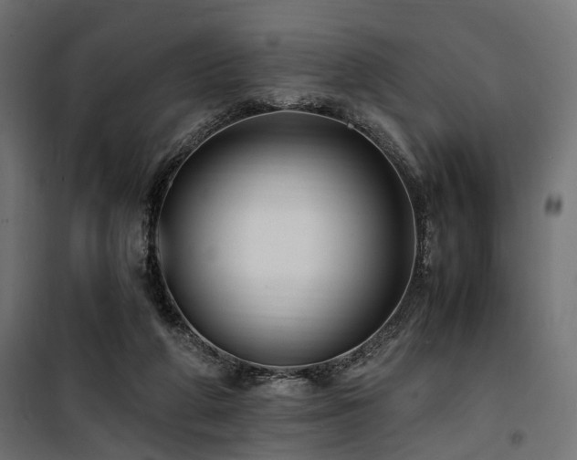 X0000100760210200806191215