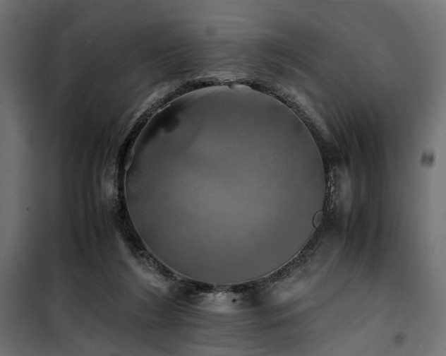 X0000100760212200806191215