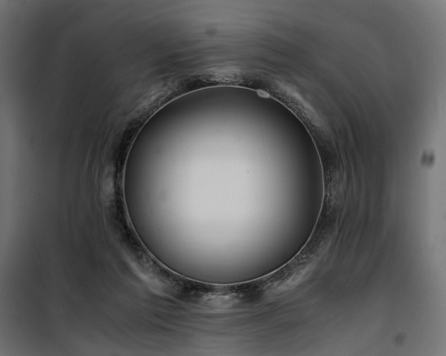 X0000100760213200806191215