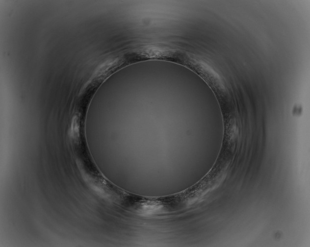 X0000100760214200806191215