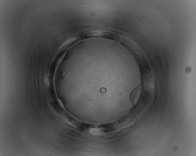 X0000100760216200806191215