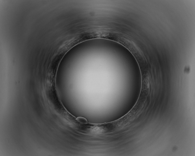 X0000100760218200806191215