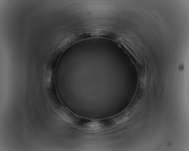 X0000100760219200806191215