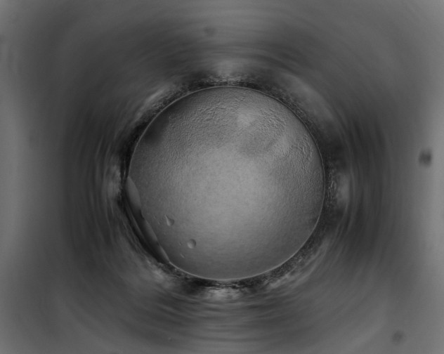 X0000100760220200806191215