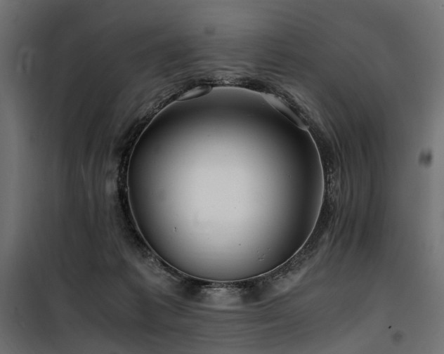 X0000100760221200806191215