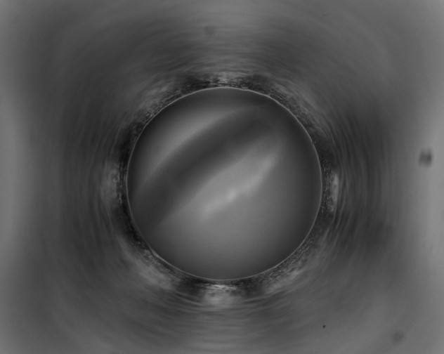 X0000100760222200806191215