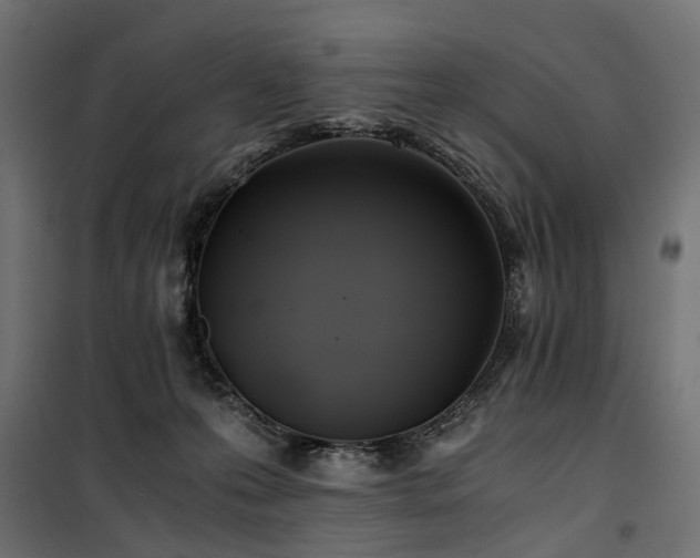 X0000100760223200806191215