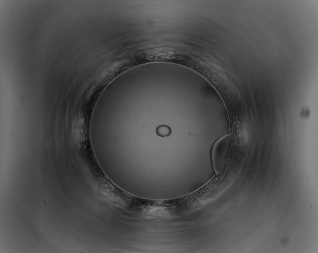 X0000100760224200806191215