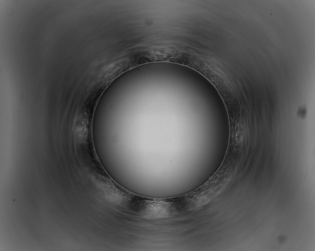 X0000100760226200806191215