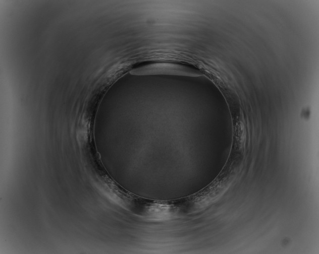 X0000100760227200806191215