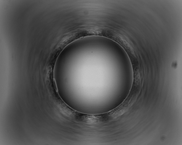 X0000100760229200806191215