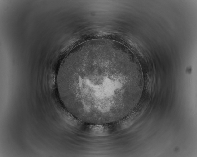 X0000100760230200806191215