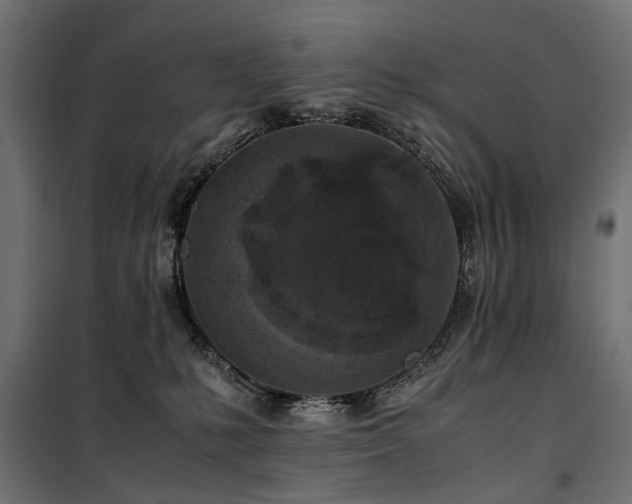 X0000100760231200806191215