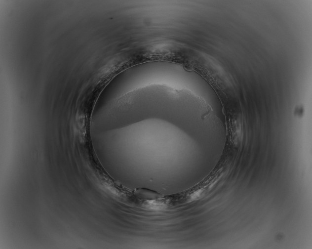 X0000100760232200806191215