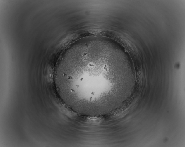 X0000100760234200806191215