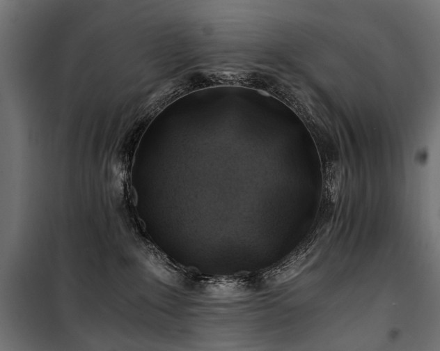 X0000100760235200806191215