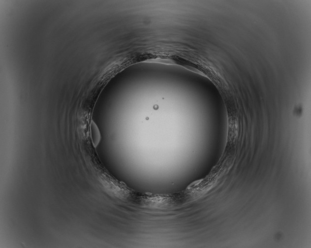 X0000100760237200806191215