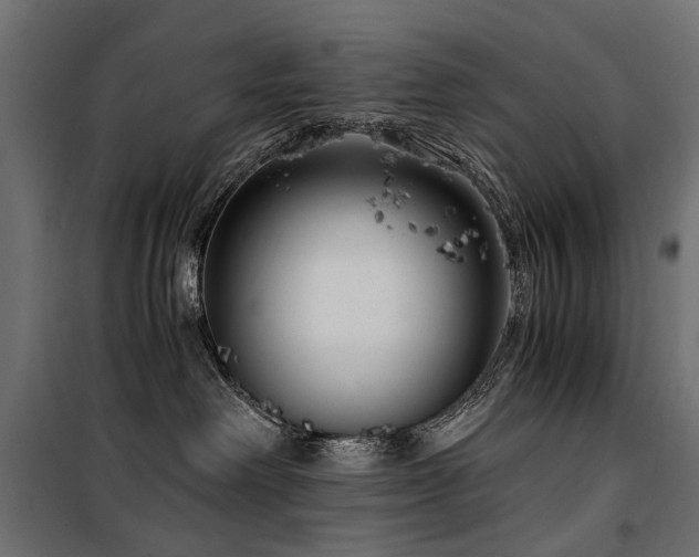 X0000100760238200806191215