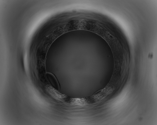 X0000100760239200806191215