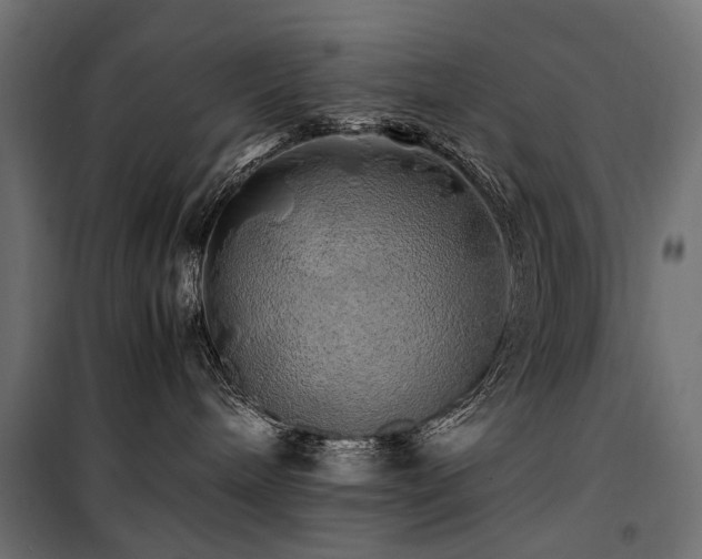 X0000100760240200806191215